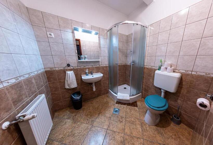 חדר סטנדרט, Megálló Wellness Panzió