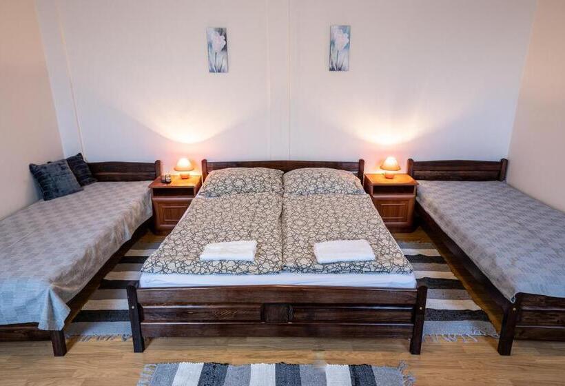 חדר סטנדרט לארבעה, Megálló Wellness Panzió