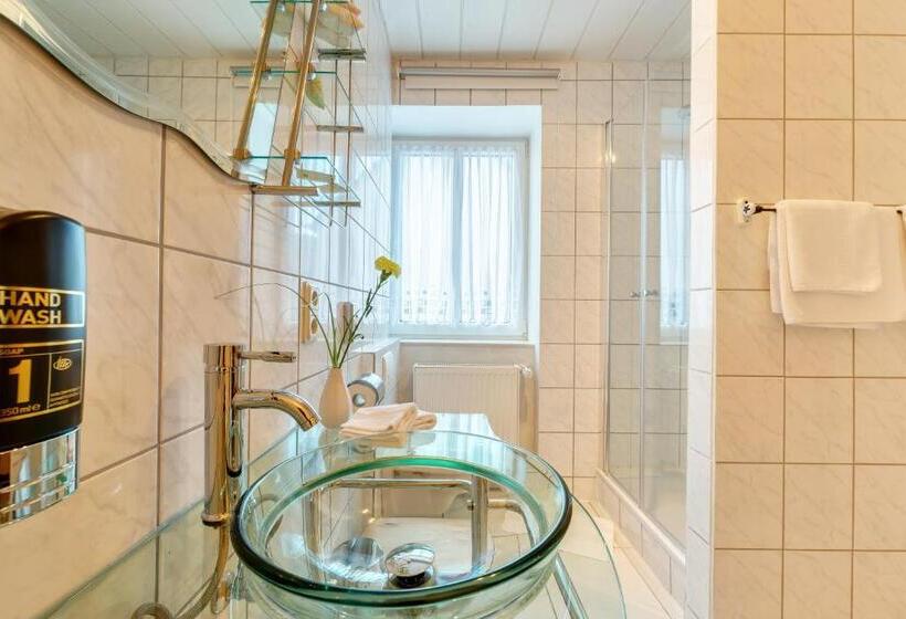 스탠다드 룸, Moselhotel Ludwigs