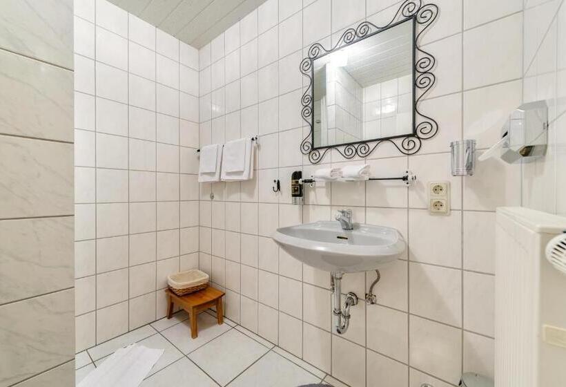 스탠다드 룸, Moselhotel Ludwigs