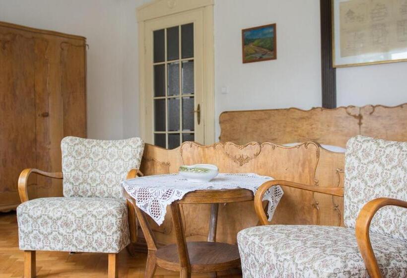 شقة ديلوكس غرفة واحدة, Penzion Signum Laudis