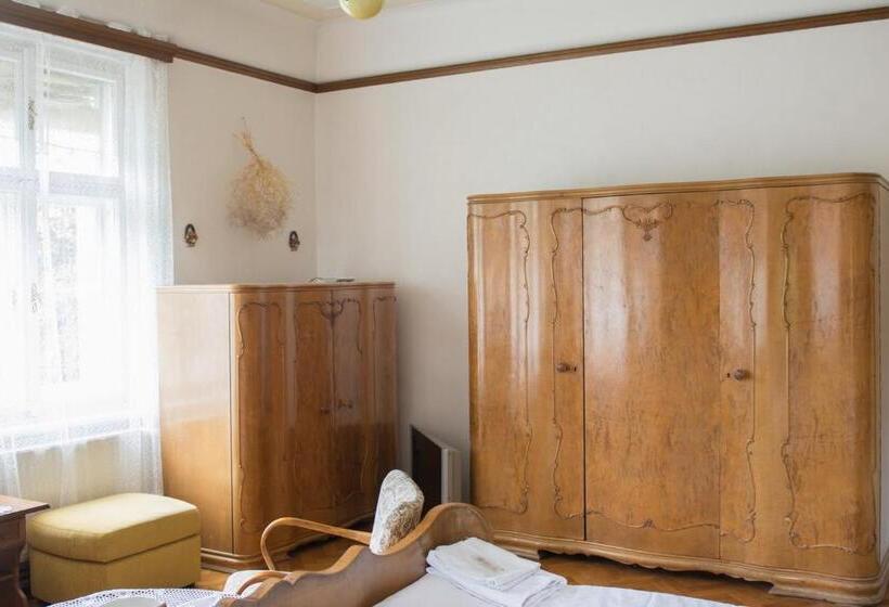 Апартаменты Deluxe 1 Спальня, Penzion Signum Laudis