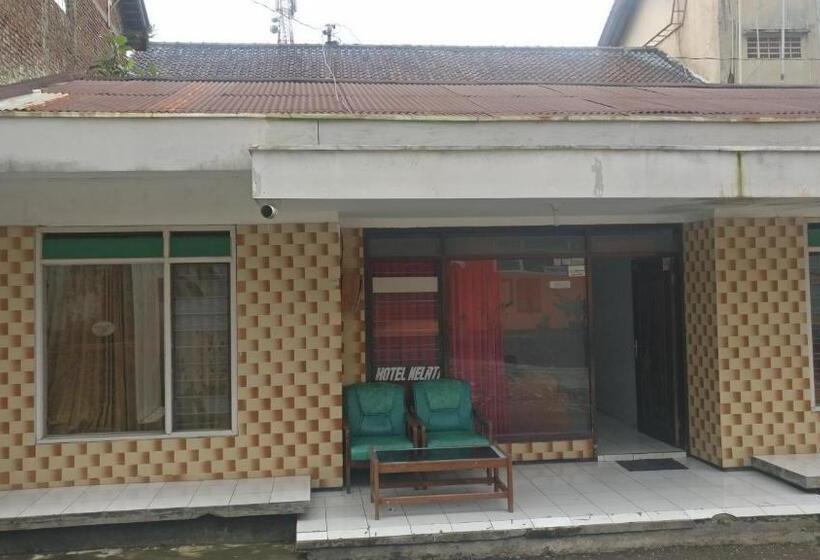 スタンダードルーム, Teratai Putih