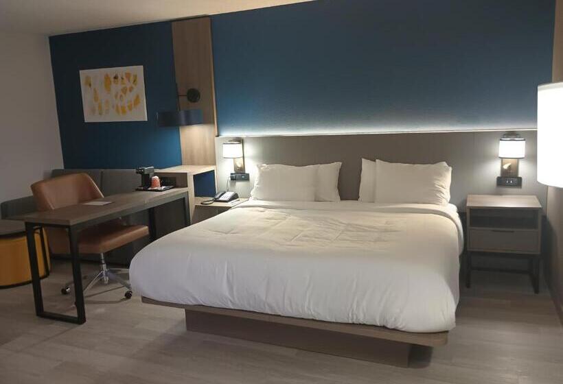 キングサイズベッドのスイートルーム, Rodeway Inn & Suites