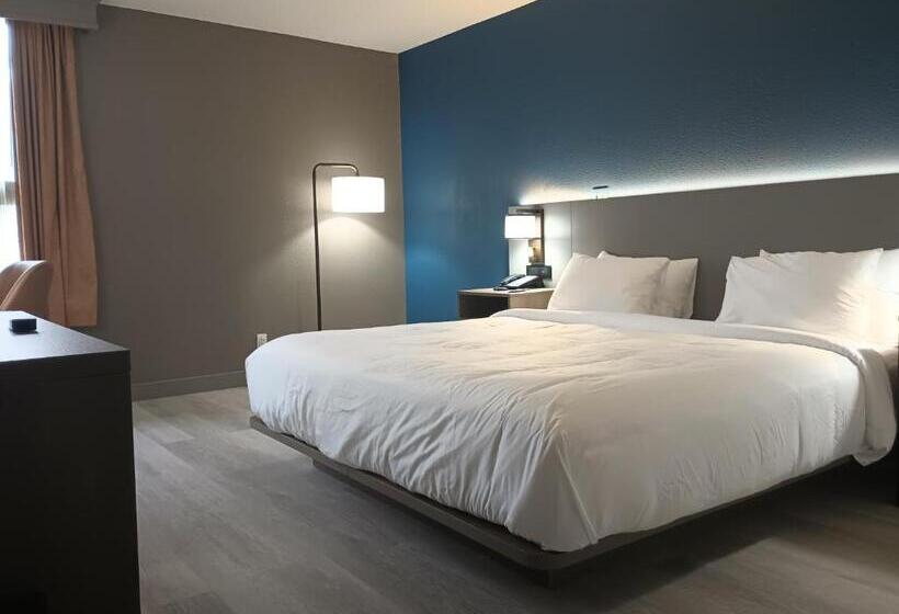 身障者適用クイーンサイズベッドルーム, Rodeway Inn & Suites