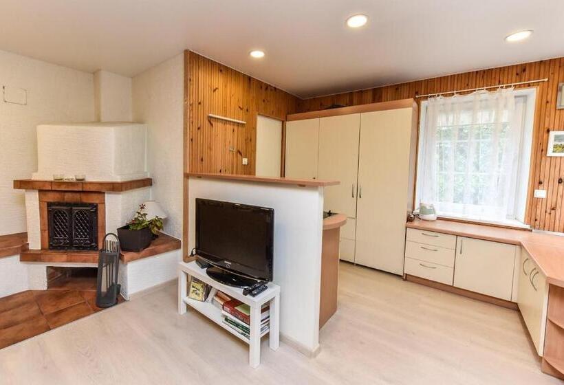 استودیوی استاندارد, Nida Guesthouse At Loreta