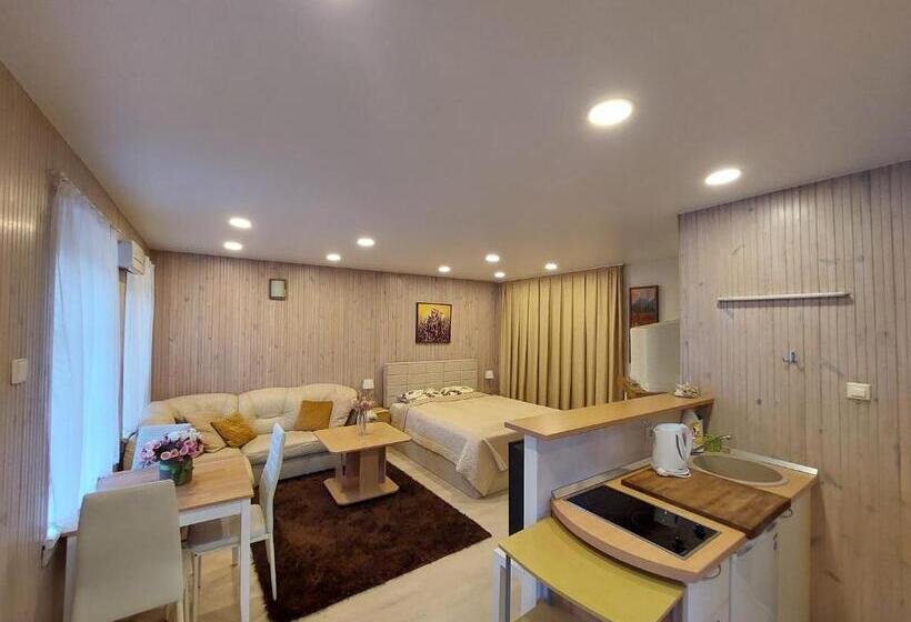 استودیوی استاندارد, Nida Guesthouse At Loreta