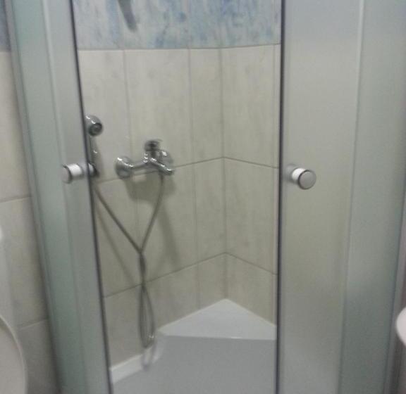 اتاق لوکس, Pansion Cilic