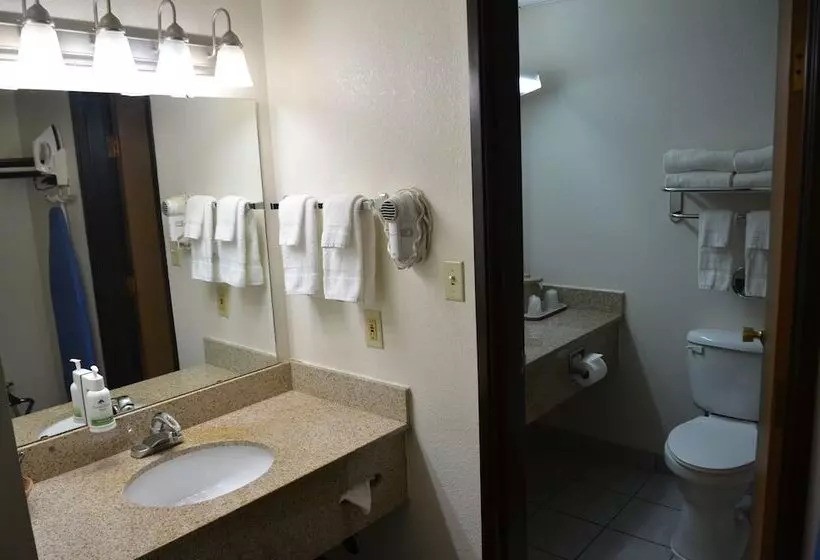 スタンダードルーム, Bearcat Inn And Suites