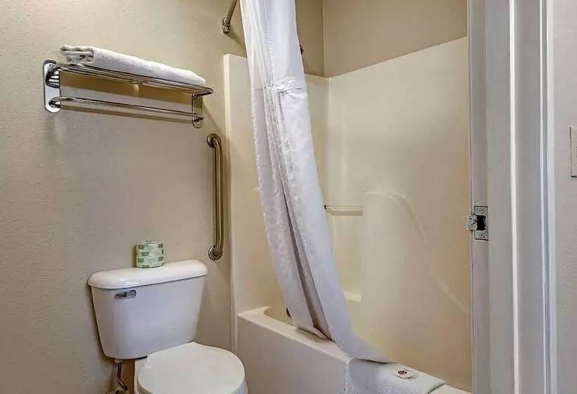 スイート, Comfort Suites Auburn Hills Detroit