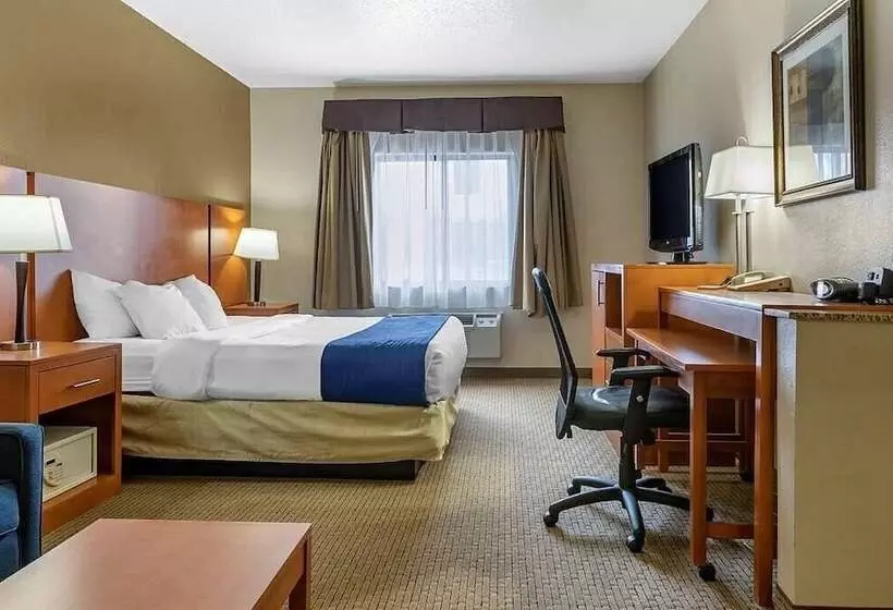 スイート, Comfort Suites Auburn Hills Detroit