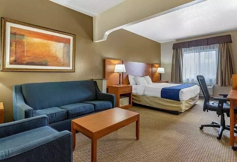 スイート, Comfort Suites Auburn Hills Detroit