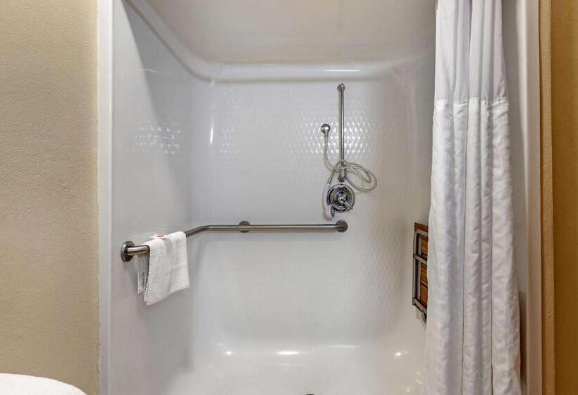 جناح لذوى الاحتياجات الخاصة, Comfort Suites Auburn Hills Detroit