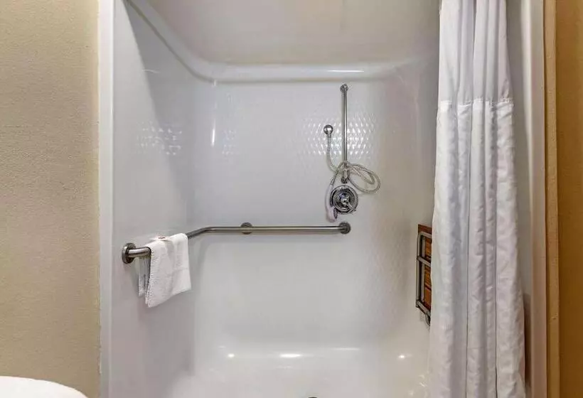 身障者適用スイートルーム, Comfort Suites Auburn Hills Detroit