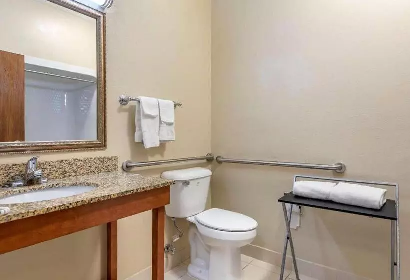 身障者適用スイートルーム, Comfort Suites Auburn Hills Detroit