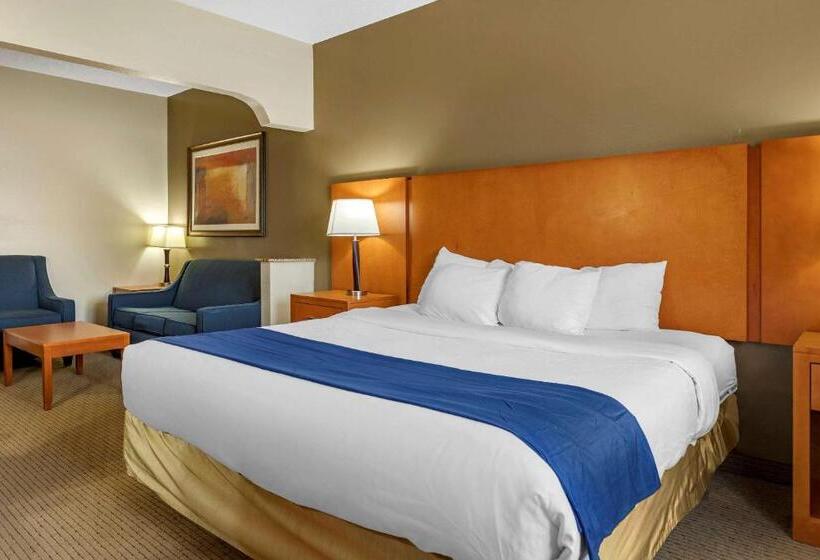 Люкс Адаптированный для Инвалидов, Comfort Suites Auburn Hills Detroit