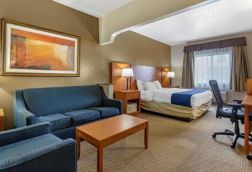 جناح لذوى الاحتياجات الخاصة, Comfort Suites Auburn Hills Detroit