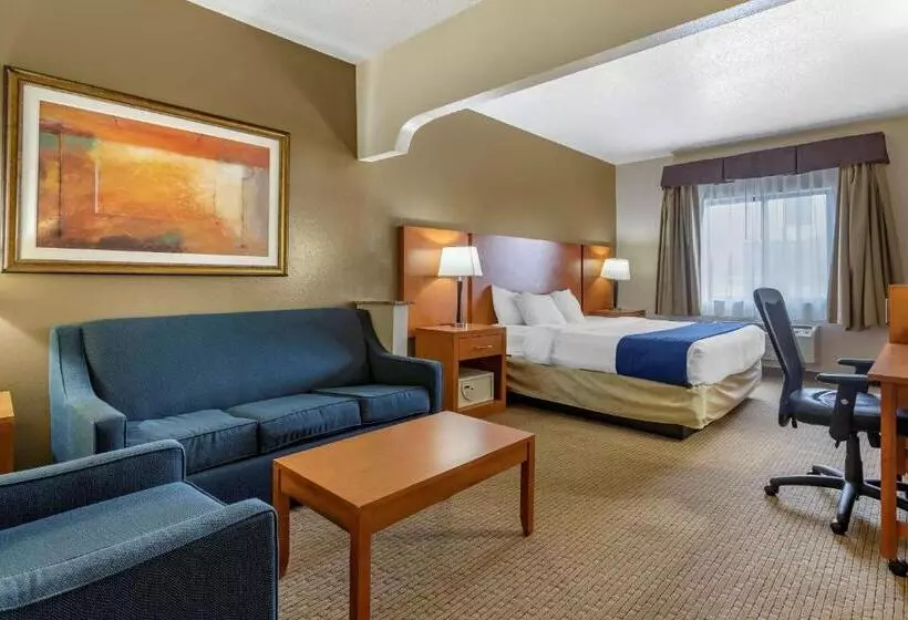 身障者適用スイートルーム, Comfort Suites Auburn Hills Detroit