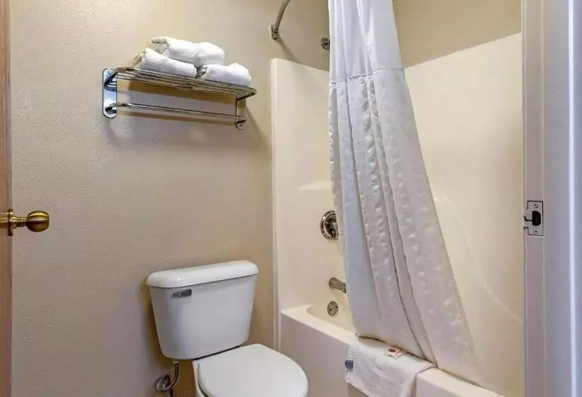 キングサイズベッドのスイートルーム, Comfort Suites Auburn Hills Detroit
