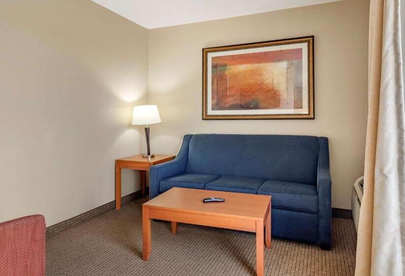 מיטת קינג בסוויטה, Comfort Suites Auburn Hills Detroit