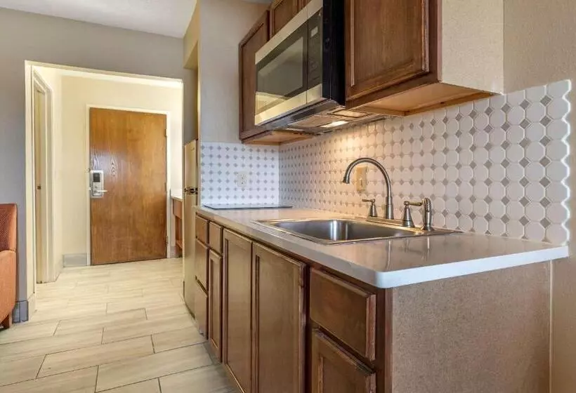 キングサイズベッドのスイートルーム, Comfort Suites Auburn Hills Detroit