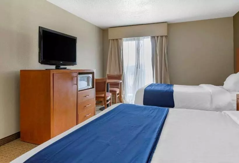 ハイドロマッサージバス付きスイート, Comfort Suites Auburn Hills Detroit