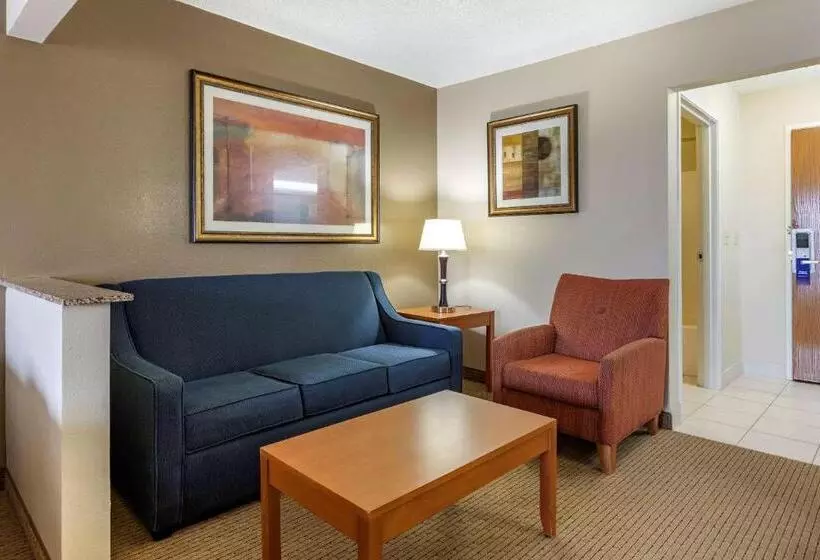 ハイドロマッサージバス付きスイート, Comfort Suites Auburn Hills Detroit