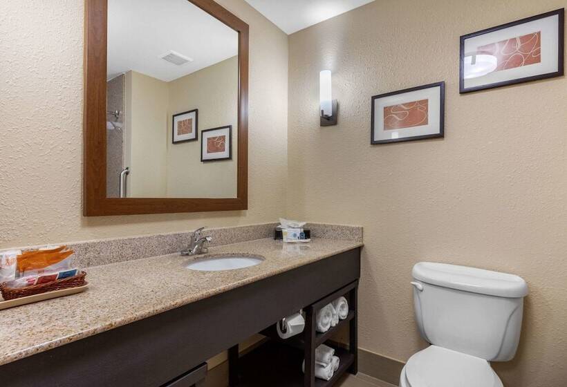 Люкс, Comfort Suites Pelham Hoover I 65