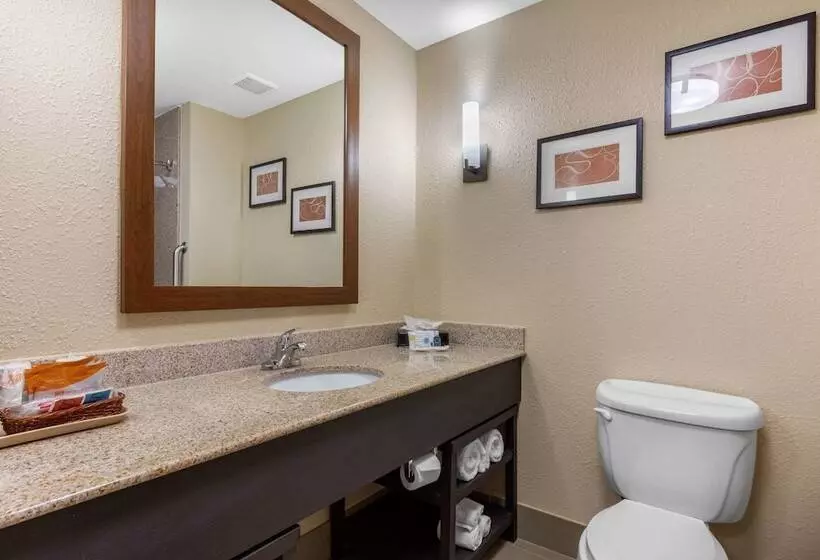 スイート, Comfort Suites Pelham Hoover I 65