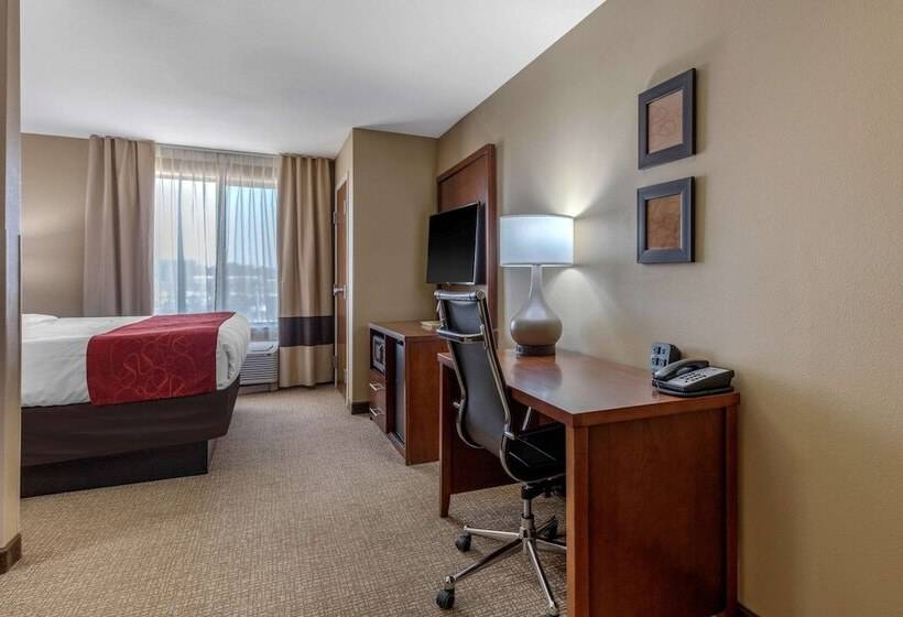סוויטה, Comfort Suites Pelham Hoover I 65