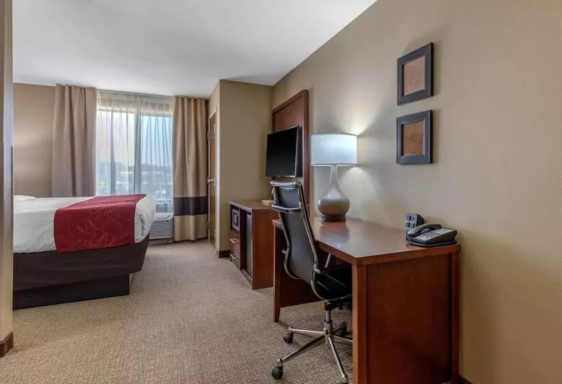 スイート, Comfort Suites Pelham Hoover I 65