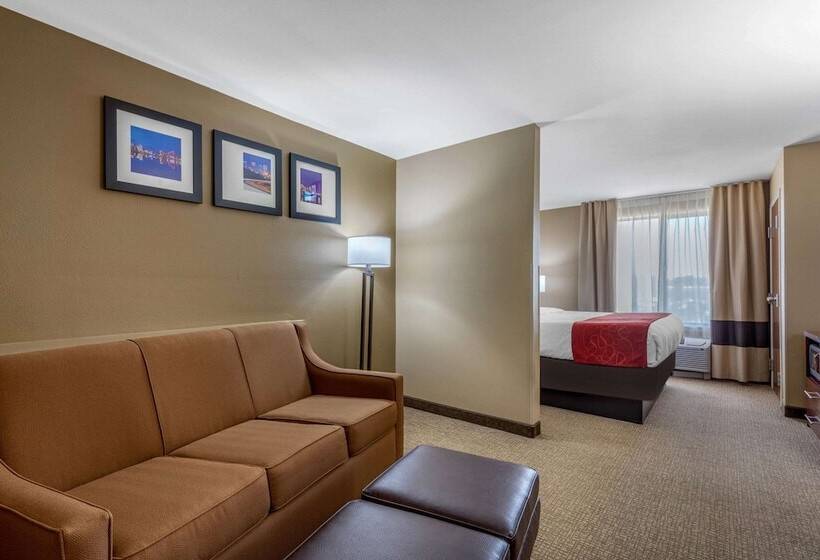 Люкс, Comfort Suites Pelham Hoover I 65