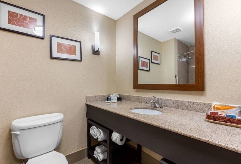 סוויטה, Comfort Suites Pelham Hoover I 65