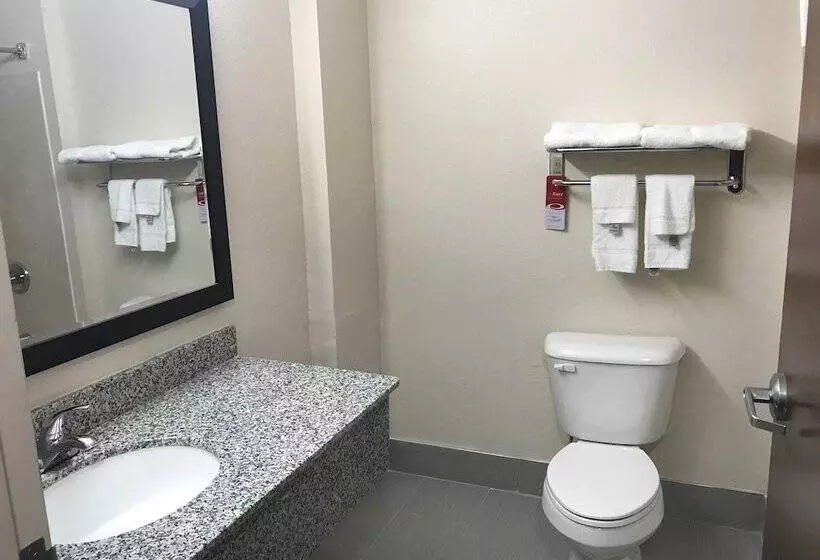 ２ダブルベッドのスタンダードルーム, Americas Best Value Inn Opelika