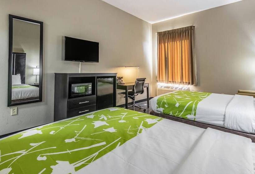 스탠다드 룸 더블 침대 2개, Americas Best Value Inn Opelika