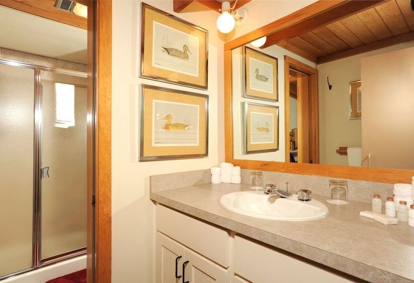 شقة غرفتين, Evergreen Condominiums By Keystone Resort