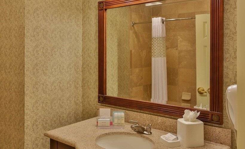 סטודיו סטנדרט, מיטה זוגית, Hampton Inn & Suites Savannah Historic District