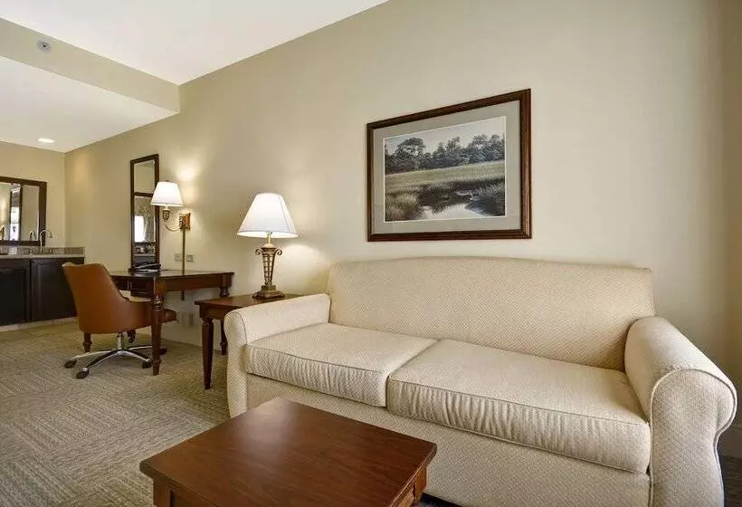 キングサイドベッドのスタンダードワンルーム, Hampton Inn & Suites Savannah Historic District