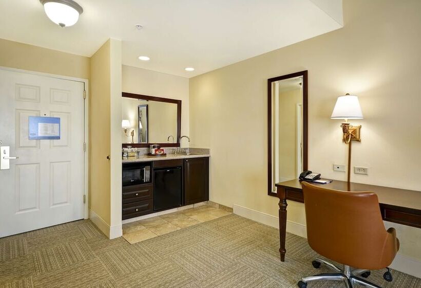 סטודיו סטנדרט, מיטה זוגית, Hampton Inn & Suites Savannah Historic District