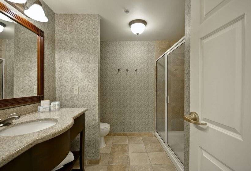 חדר סטנדרט, Hampton Inn & Suites Savannah Historic District