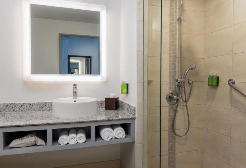 Стандартный Номер Кровать Кинг, Holiday Inn Express San Jose Forum Costa Rica, An Ihg