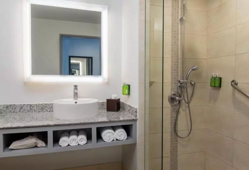 اتاق استاندارد با تخت بزرگ, Holiday Inn Express San Jose Forum Costa Rica, An Ihg