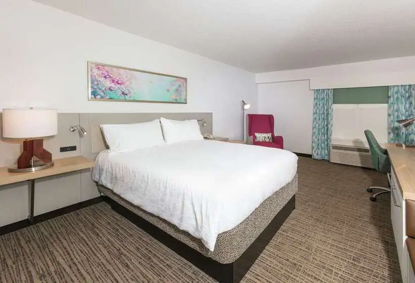 اتاق استاندارد با تخت بزرگ, Canopy By Hilton Chicago Central Loop