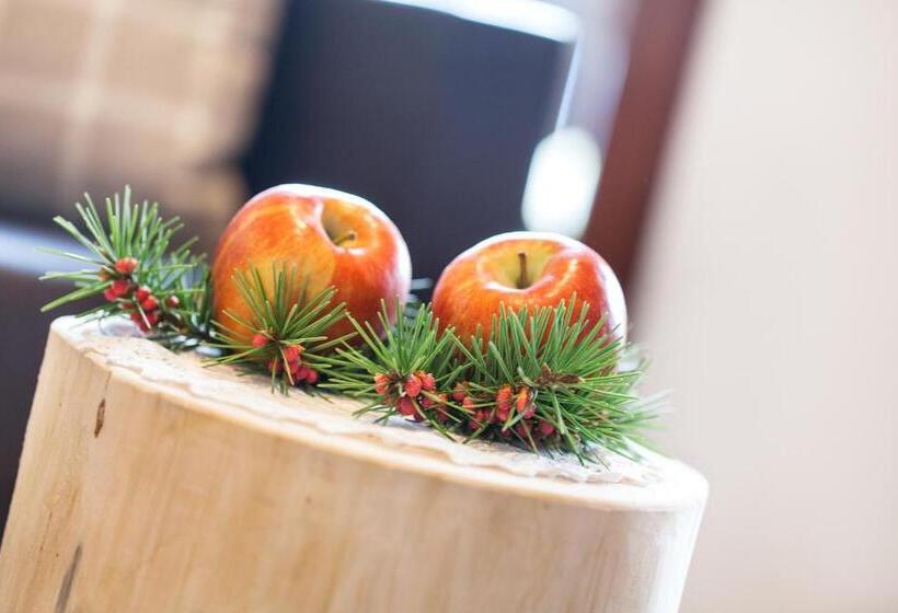 חדר סטנדרט, Herol   My Mountain Retreat