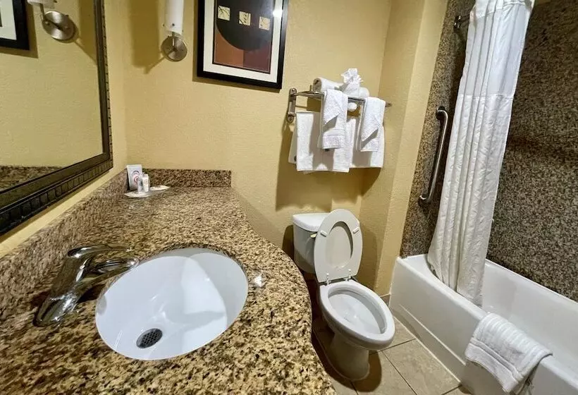 スイート, Comfort Suites Augusta Riverwatch