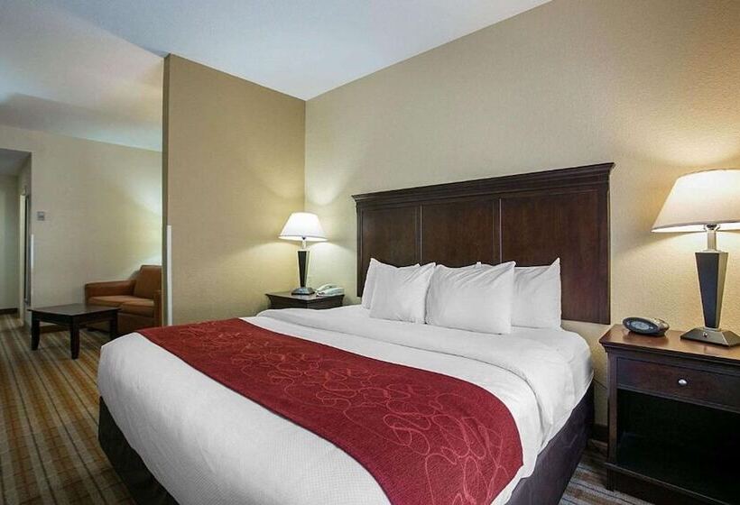 Suíte, Comfort Suites Augusta Riverwatch