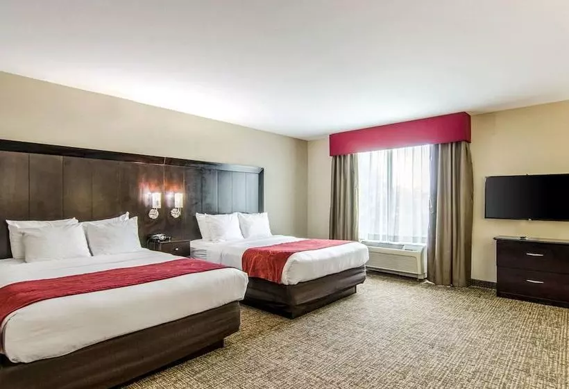 身障者適用スイートルーム, Comfort Suites Bentonville  Rogers
