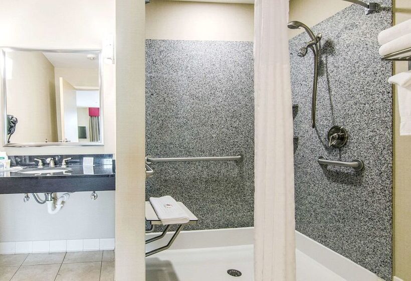 Люкс Адаптированный для Инвалидов, Comfort Suites Bentonville  Rogers