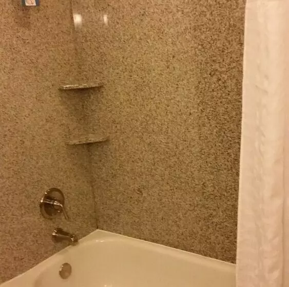 スイート, Comfort Suites Bentonville  Rogers