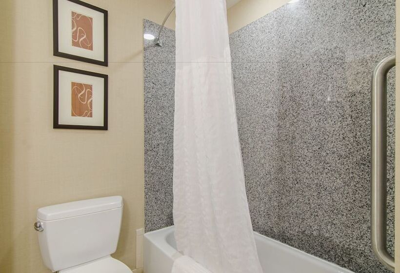 سوییت, Comfort Suites Bentonville  Rogers